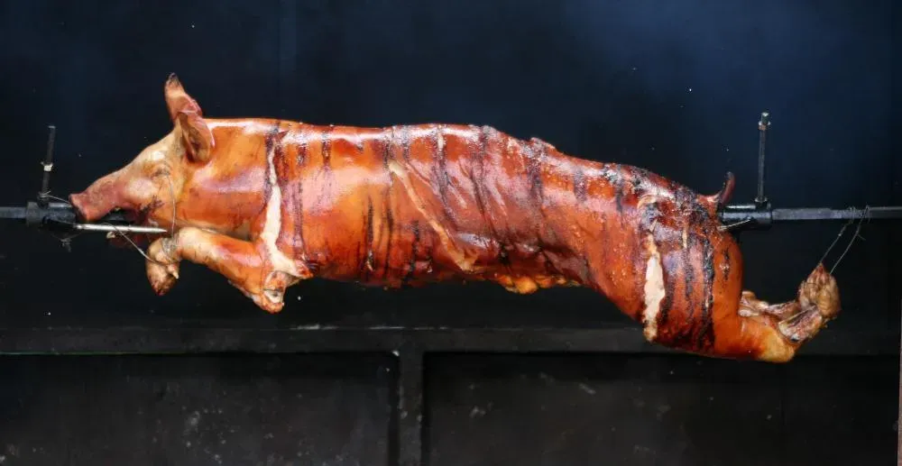 Cochon